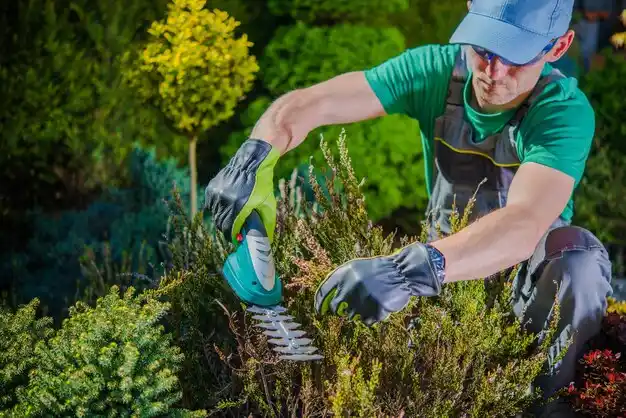 landscaping services Niverville